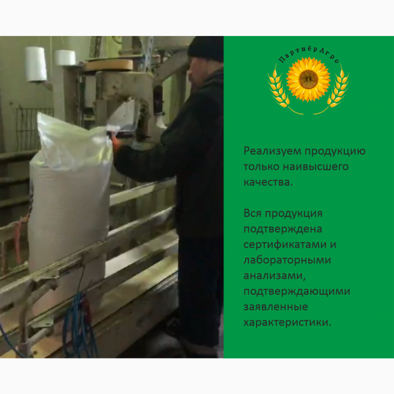 Фото 5. Продажа Соевого Шрота от производителя (протеин на АСВ не менее 46%)