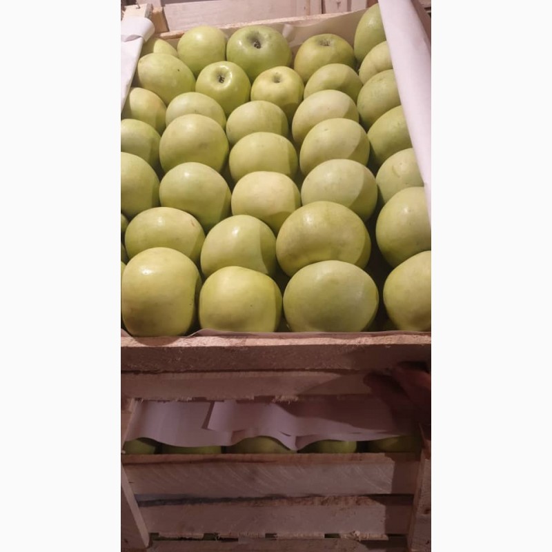 Фото 2. Продам яблоки от производителя с Киргизтана