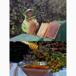 Предлагается горный и сотовый мед, собранный в экологически чистом районе ущелье Ала-Арча