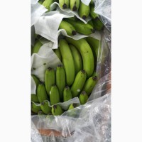 Бананы для продажи