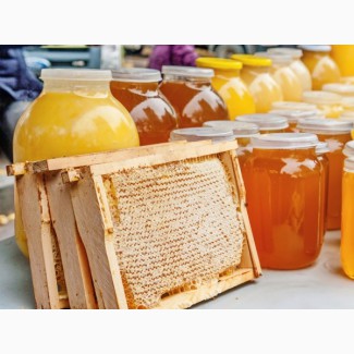 Продаю мед оптом Токтогульский разнотравье