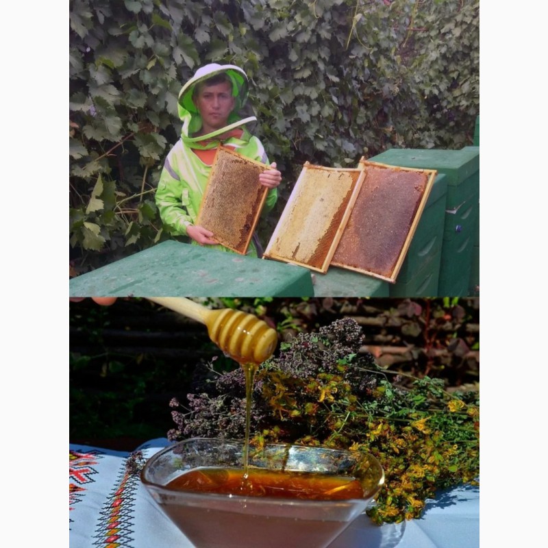 Фото 3. Горный мед с ущелья Ала-Арча и также пергу и прополис