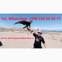 Guide, driver in Kyrgyzstan, tourism, travel, excursions, hiking in mountains