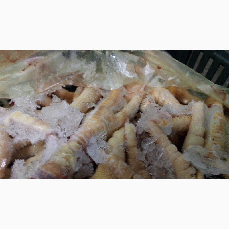 Фото 11. Продам замороженую и охлажденные части курицы от Венгерского производителя