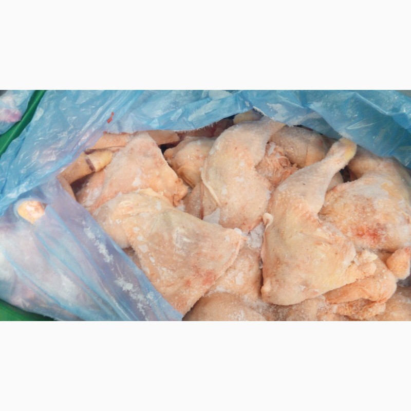 Фото 14. Продам замороженую и охлажденные части курицы от Венгерского производителя