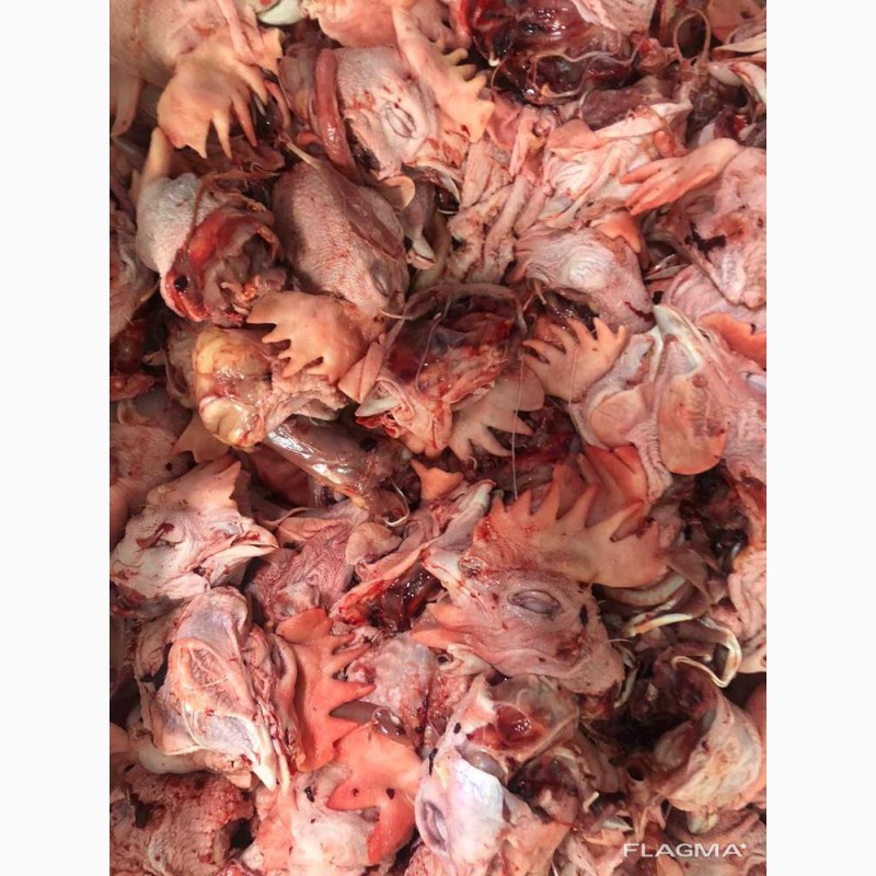 Фото 2. Продам замороженую и охлажденные части курицы от Венгерского производителя