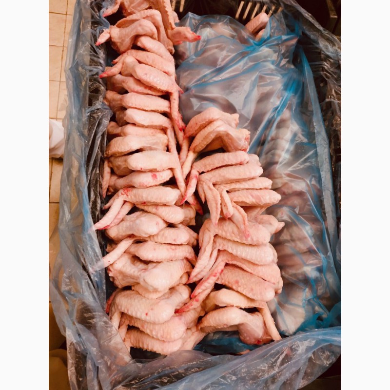 Фото 7. Продам замороженую и охлажденные части курицы от Венгерского производителя
