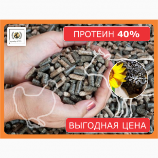 Подсолнечный шрот (протеин на АСВ не менее 40%)