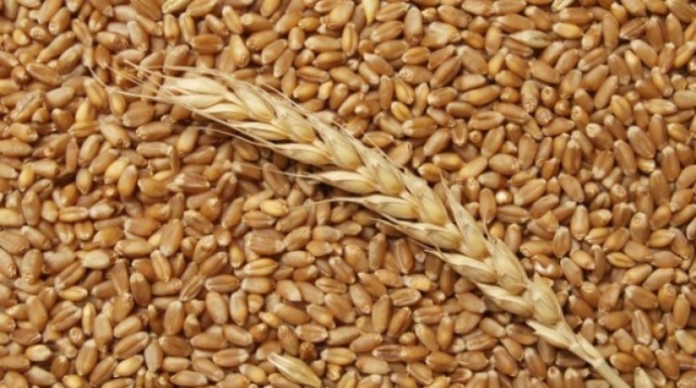 Фото 3. Продам пшеницу и муку всех сортов есть в наличи отруби