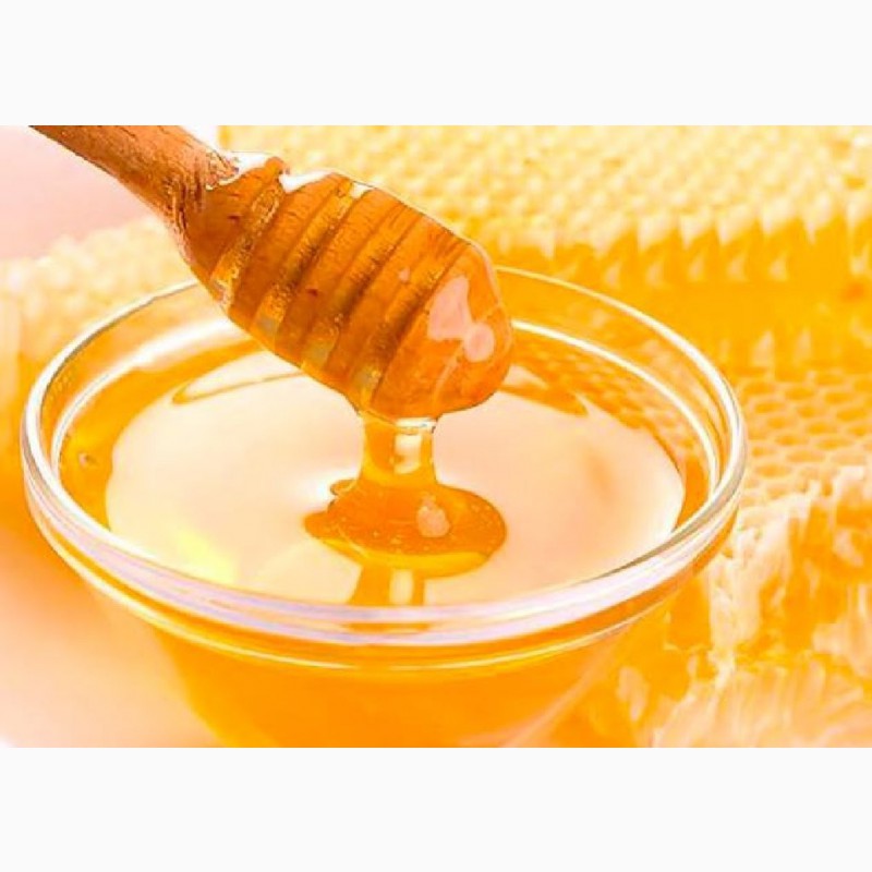 Фото 2. Натуральный Иссык-Кульский и горный мёд