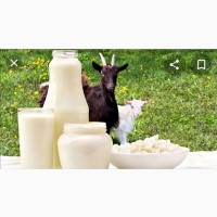 Козье молоко в Бишкеке 0555665535