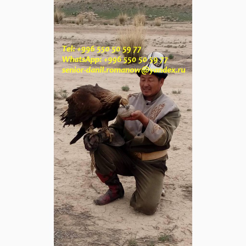 Фото 3. Гид, водитель в Кыргызстане, туристические услуги, путешествия в горы, трэки