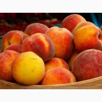 Куплю персики и абрикосы
