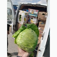 Срочно продам овощи от Киргизского производителя