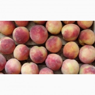 Продаю органические персики