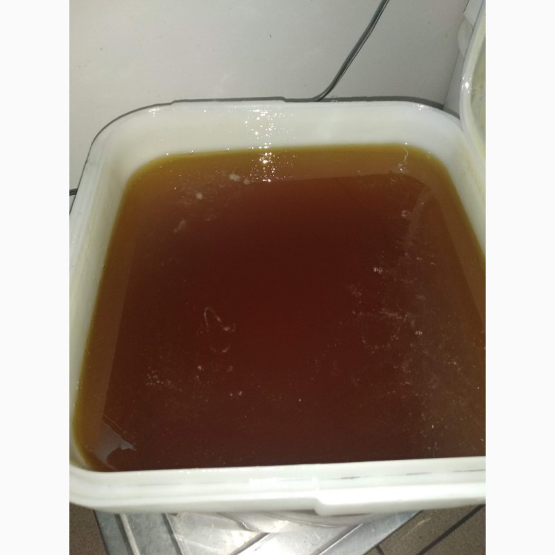 Фото 16. Натуральный мёд оптом от 35 кг