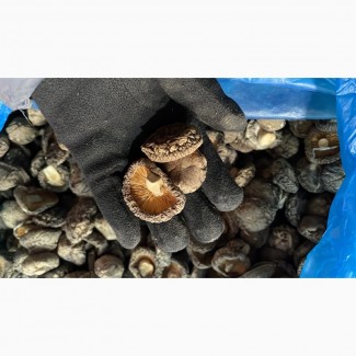 Продаю грибы сушенные опята, муэр( древесные грибы) шитаке, спаржа, соя мясо и т д